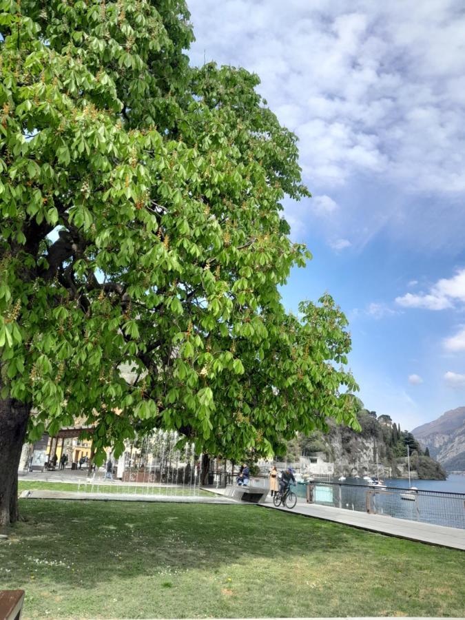 L'Incanto Dell'Airone Malgrate Bagian luar foto