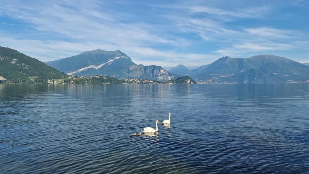 L'Incanto Dell'Airone Malgrate Bagian luar foto